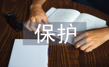 變壓器的繼電保護(hù)