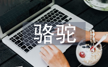 駱駝尋寶記