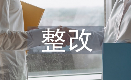 掃黑除惡整改情況匯報