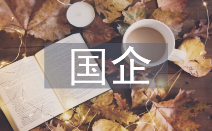 國企改革理論的未來走向研究論文
