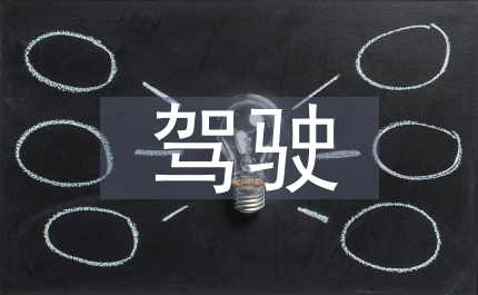 駕駛員個(gè)人剖析材料
