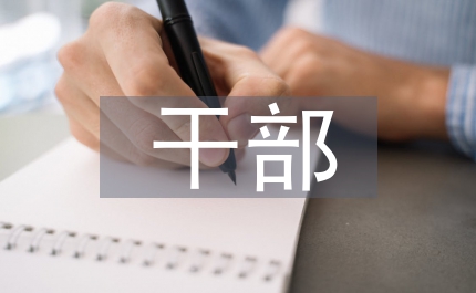 黨委干部深化整改教育總結(jié)