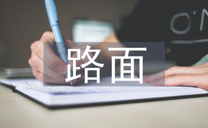 路面設(shè)計總結(jié)