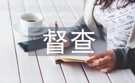 對人口計生督查匯報材料