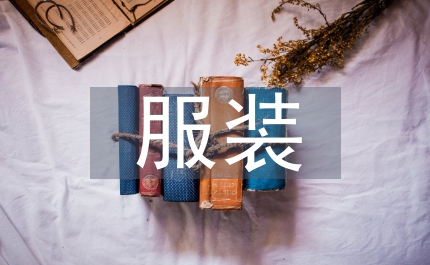 服裝年中總結(jié)