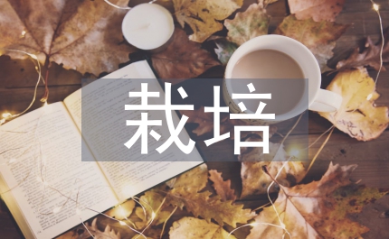 溫室栽培論文：市域溫室甜瓜栽種研究