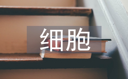 腹膜間皮細(xì)胞培養(yǎng)分析
