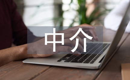 中介語理論