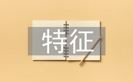領(lǐng)導(dǎo)者創(chuàng)新思維的特征